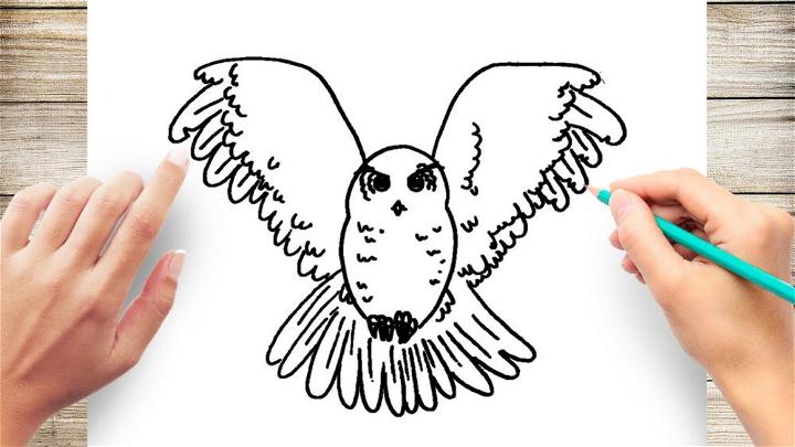 How to Draw Flying Owls with Wings