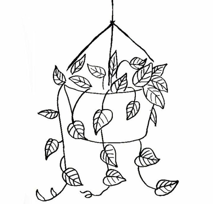 How to Draw Hanging Plant