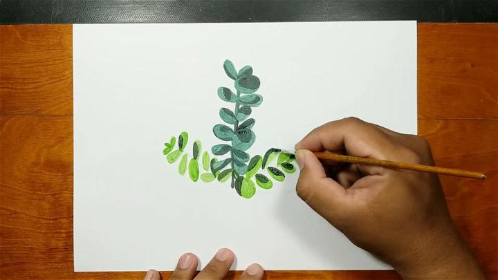 How to Draw Jade Plant with Watercolor