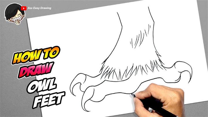 How to Draw Owl Feet