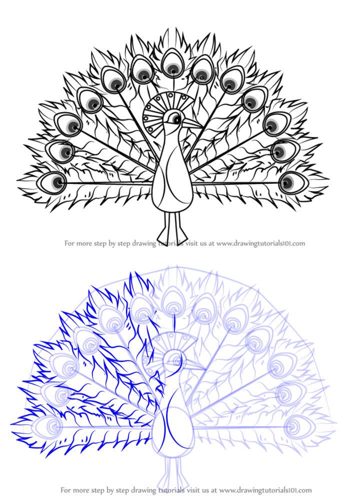 How to Draw Peacocks : Drawing Tutorials & Drawing & How to Draw Peacock  Drawing Lessons Step by Step Techniques for Cartoons & Illustrations