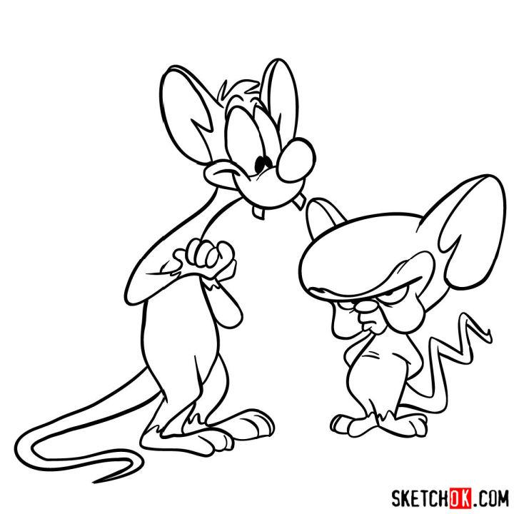 How to Draw Pinky and the Brain