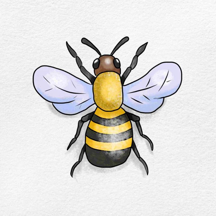 25 Cute Bee Drawing Ideas How to Draw a Bee Blitsy