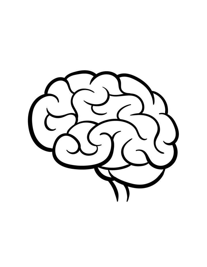 easy brain drawing