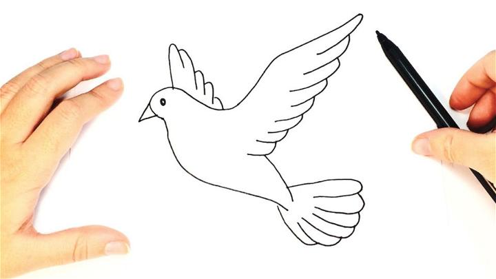 How to Draw a Dove for Kids