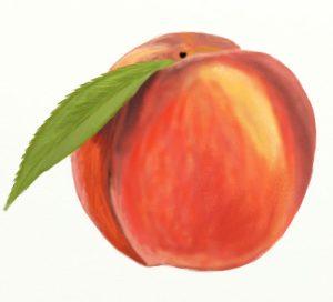 15 Simple Peach Drawing Ideas - How to Draw a Peach - Blitsy