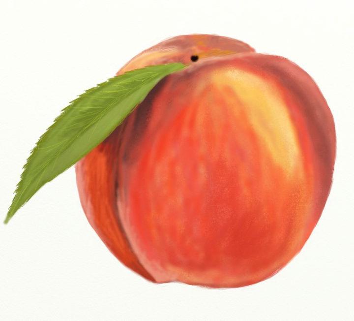 How to Draw a Peach Fruit