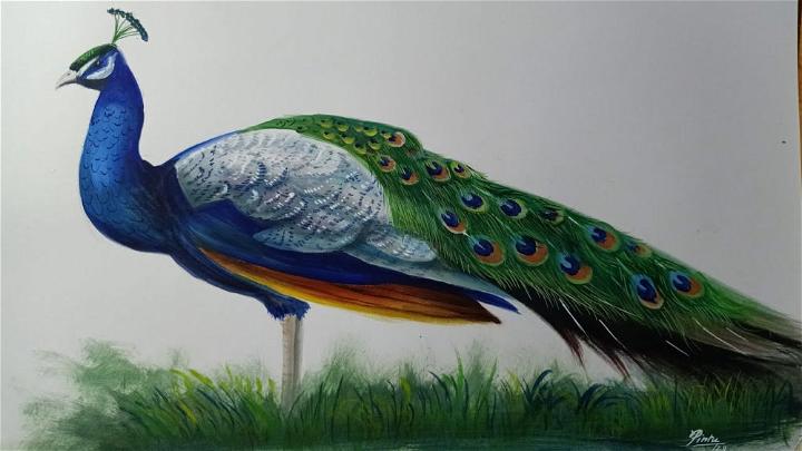 Let's Paint a Peacock LIVE 12:30pm ET! – The Frugal Crafter Blog