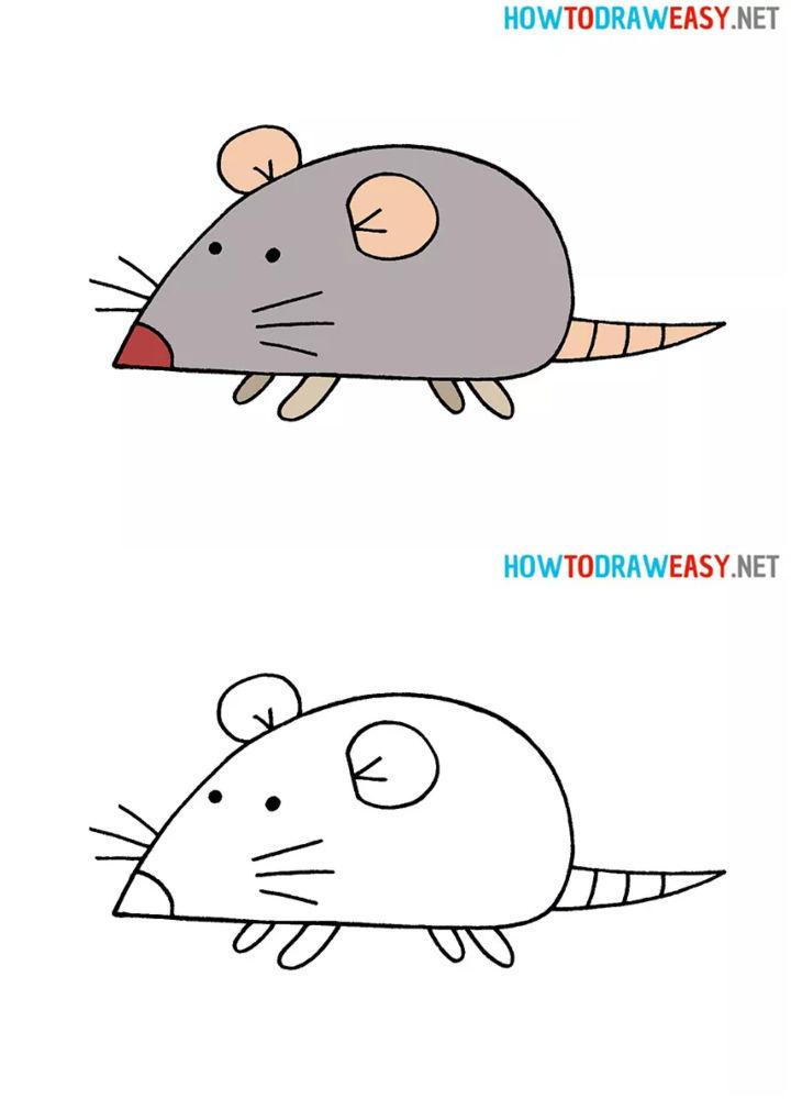 How to Draw a Rat for Kids