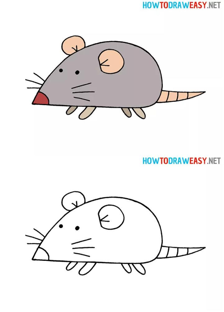 25 Easy Rat Drawing Ideas – How to Draw a Rat