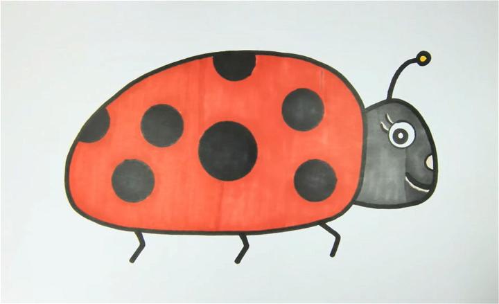 How to Draw a Side View Ladybug
