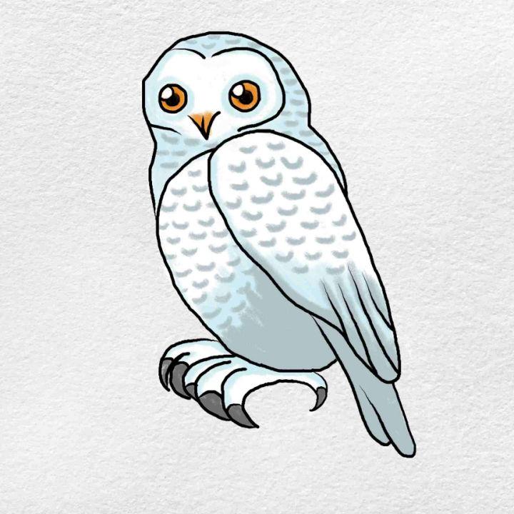 25 Easy Owl Drawing Ideas How to Draw an Owl Blitsy