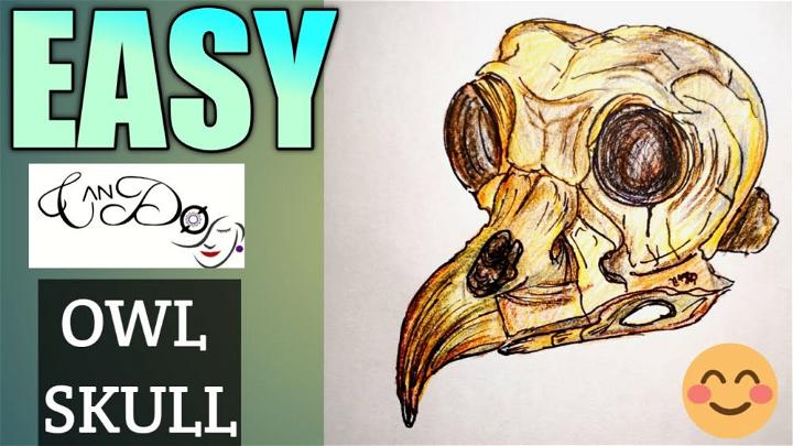 How to Draw an Owl Skull
