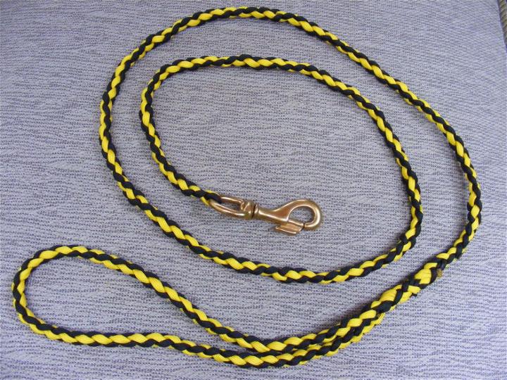 How to Make a Paracord Dog Leash