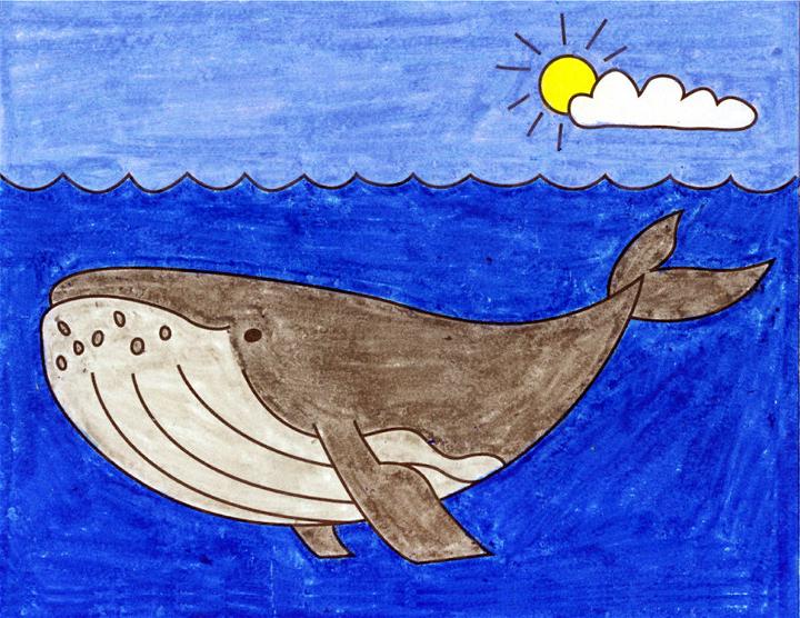 Humpback Whale Drawing