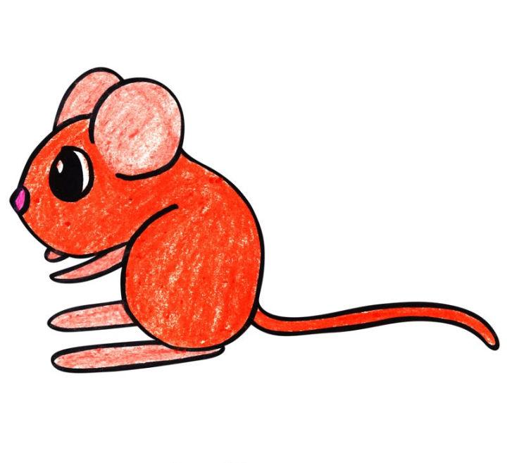 Kangaroo Rat for Kids Drawing