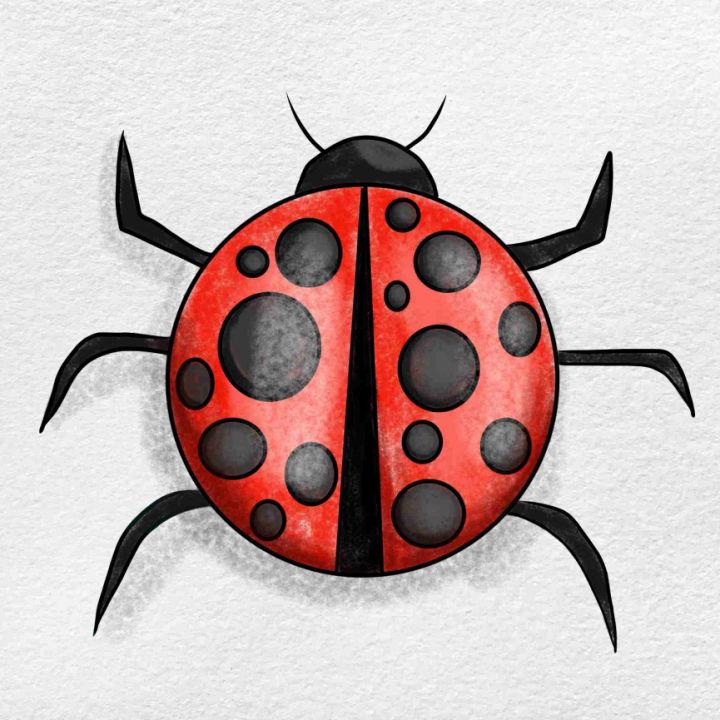 ladybug Drawing by pechane sumie | Saatchi Art