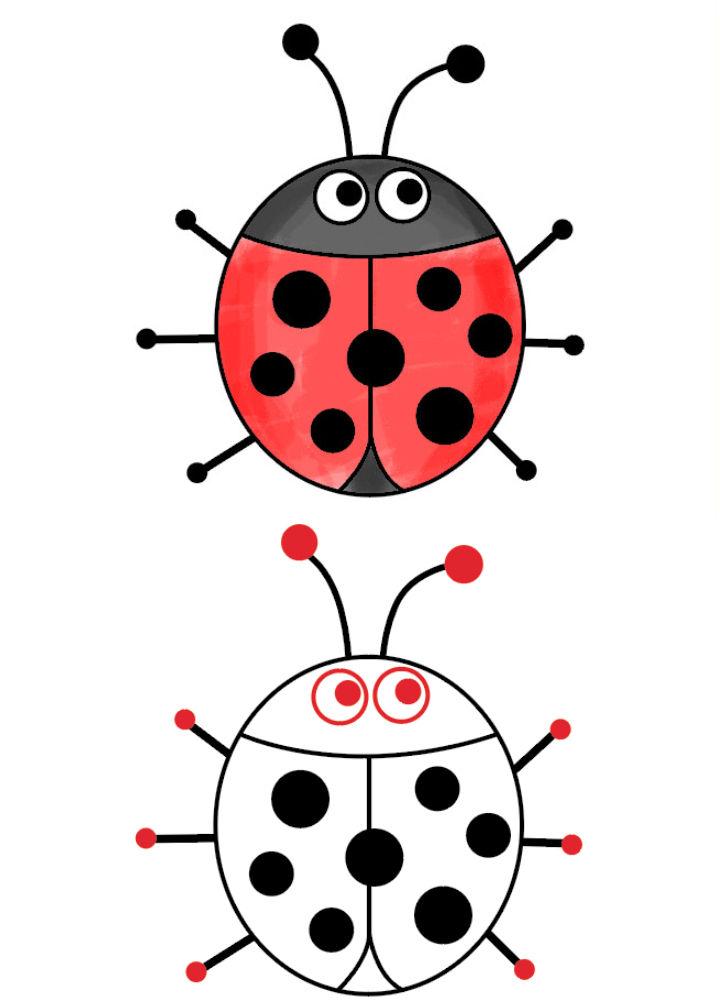 Ladybug Drawing for Kids