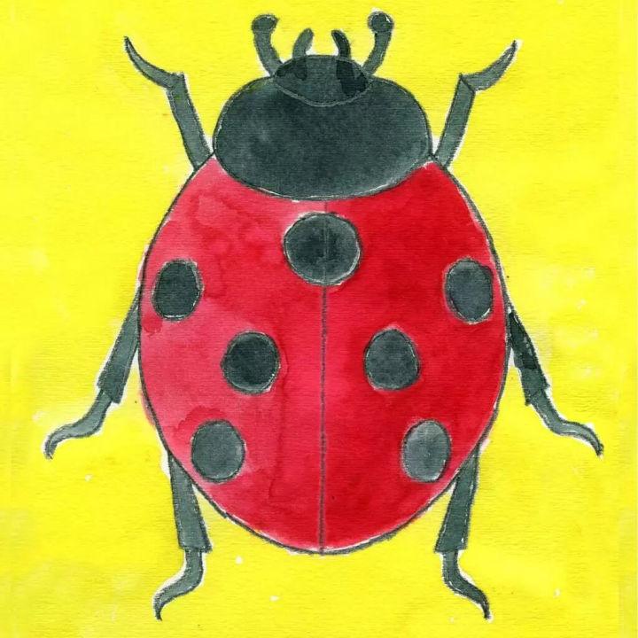 Ladybug Sketch Drawing