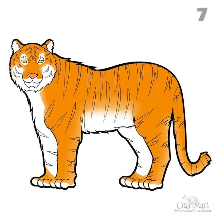 siberian tiger drawing