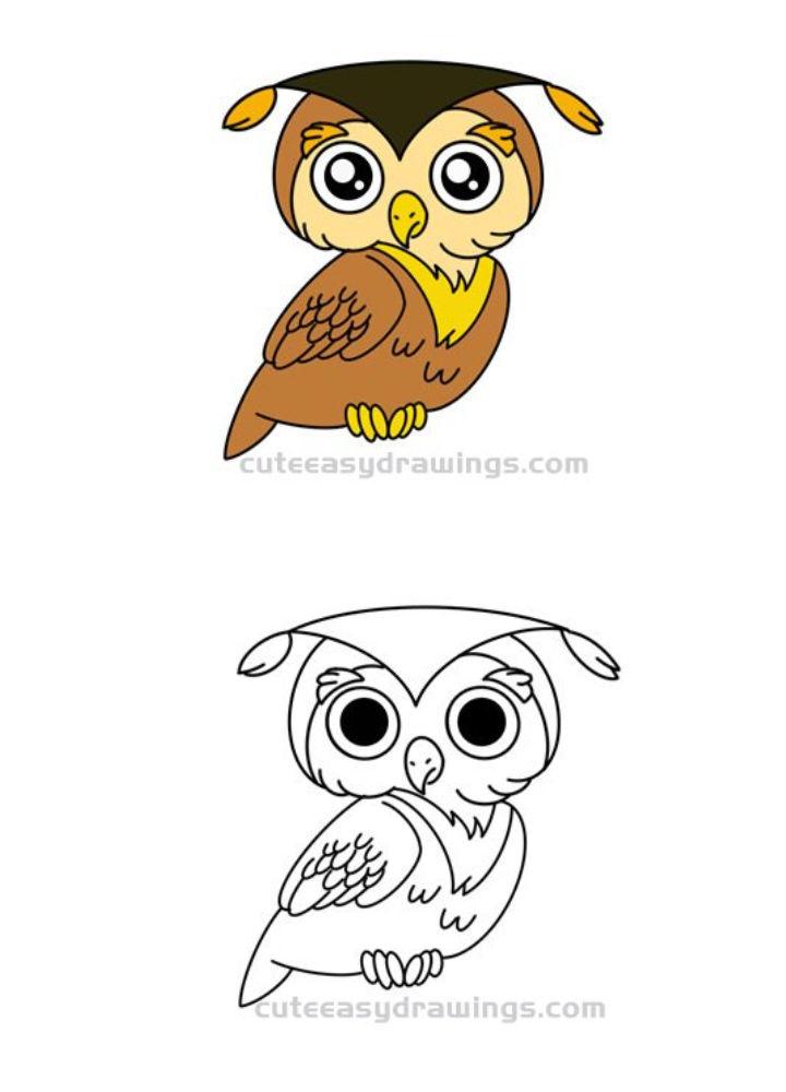 Owl Cartoon Drawing for Kids