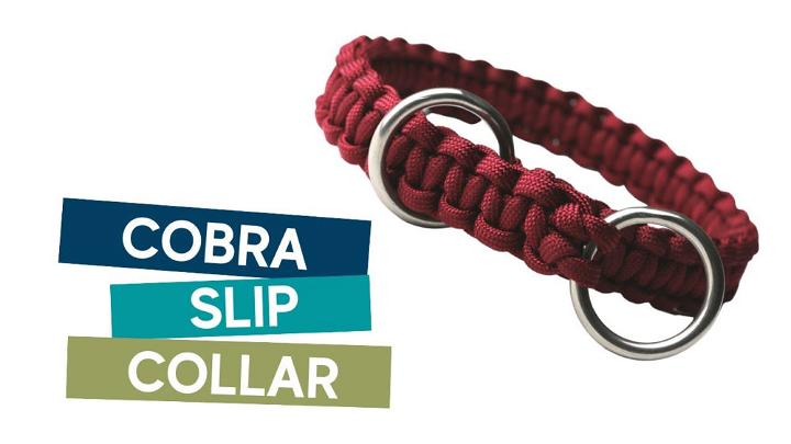 Paracord Cobra Slip Dog Collar