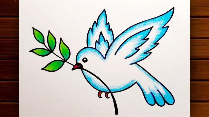 Peace Dove Drawing Step by Step