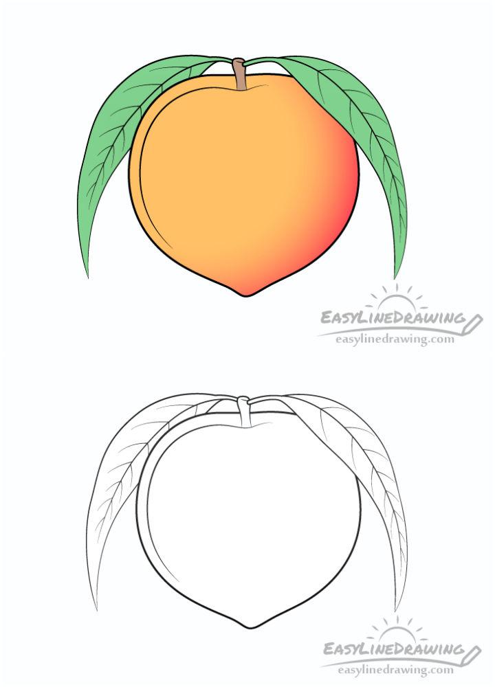 Peach Line Drawing