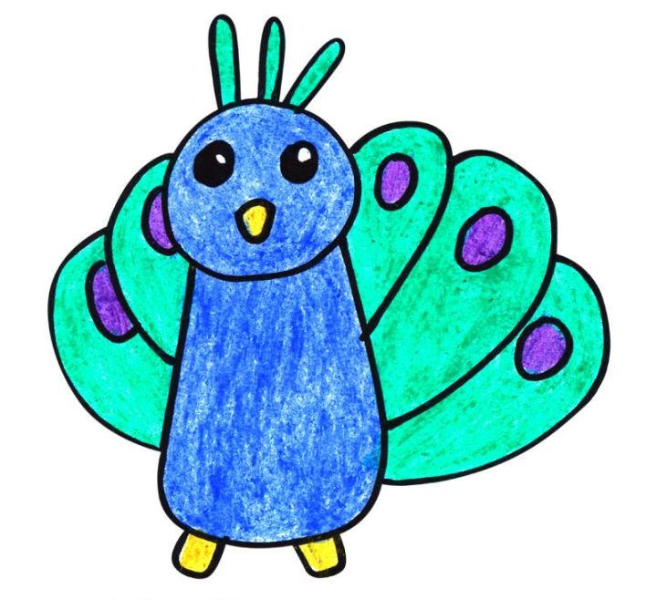 Peacock Drawing with Colour