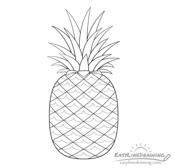 Pineapple Line Drawing Step by Step Instructions