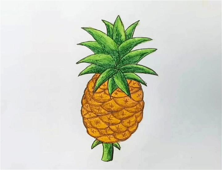 Pineapple Drawing for Kids