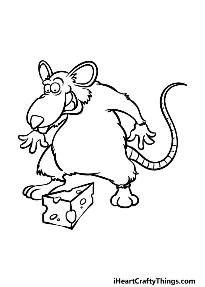 Rat Drawing Step by Step Guide 