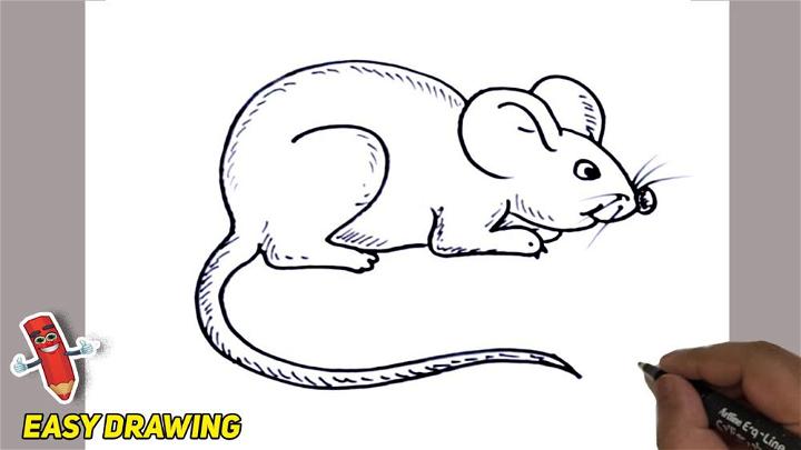 Rat Line Drawing