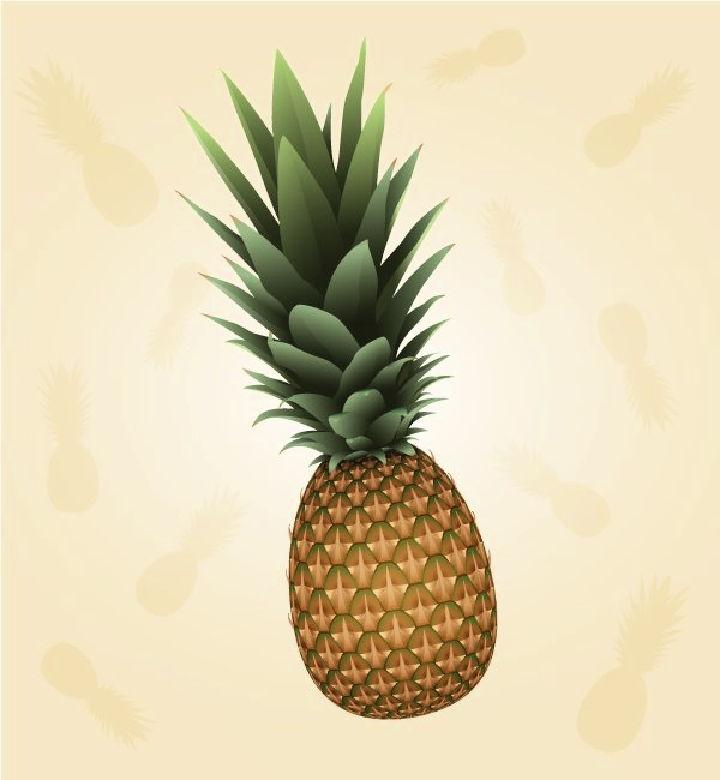 Realistic Pineapple Drawing Using 3D Illustrator Effects