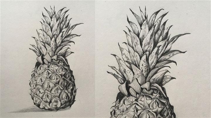 Realistic Pineapple Drawing in Pencil