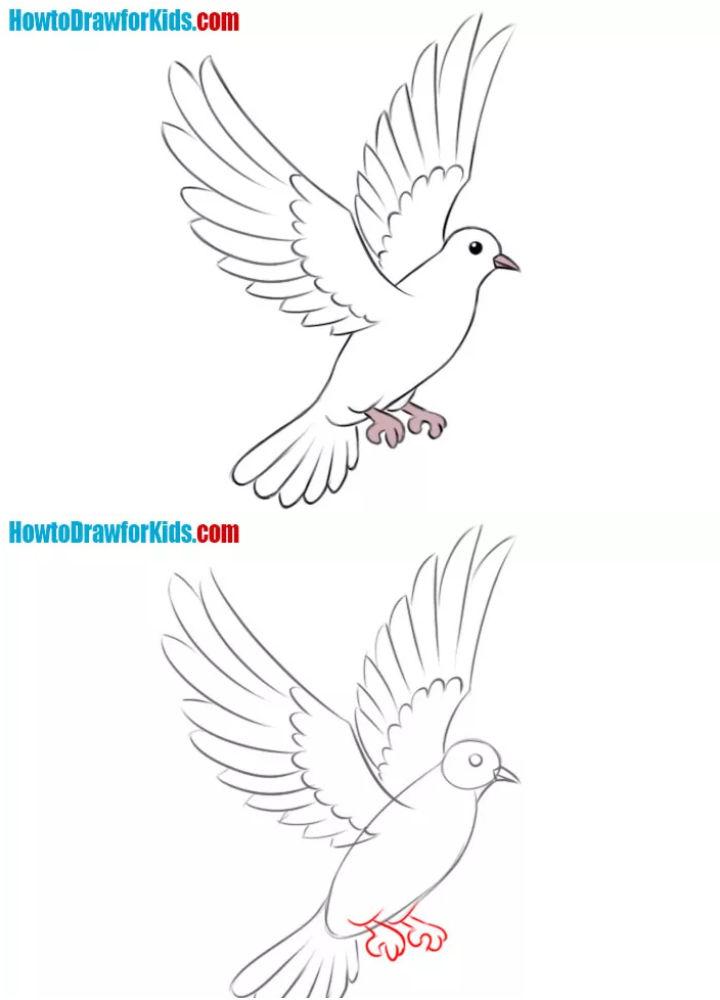 Simple Dove Drawing