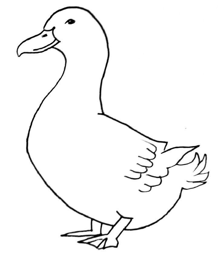 Simple Duck Drawing