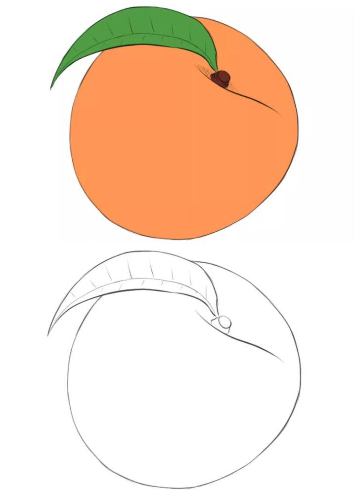 Simple Peach Drawing