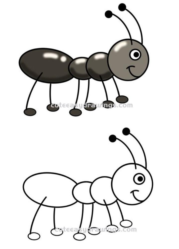 Simple Way to Draw an Ant