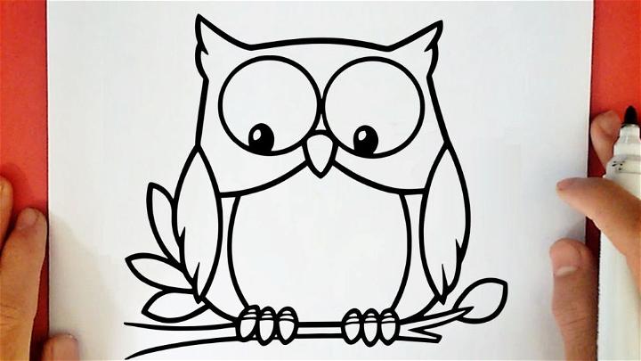 Sketch Owl Drawing