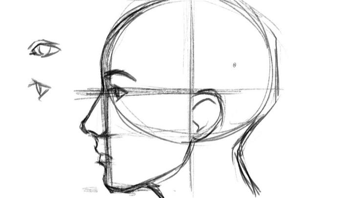 How to Draw a Face from the SIDE Loomis Method  RapidFireArt