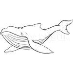 25 Easy Whale Drawing Ideas How To Draw A Whale Sketch Whale Drawing 150x150