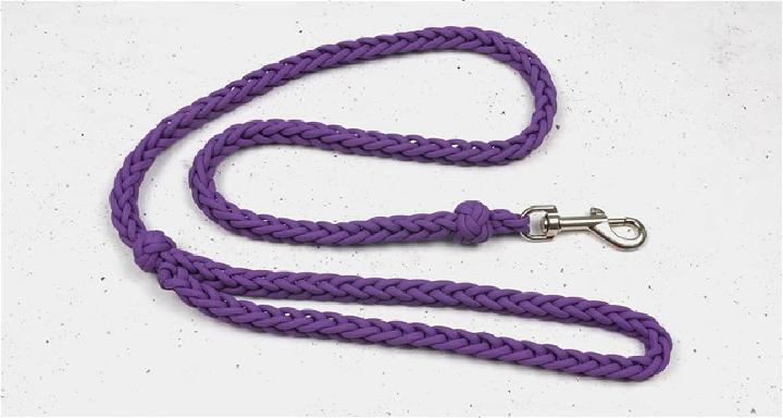 Spool Knit Paracord Dog Leash