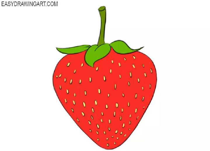 Strawberry Sketch Drawing
