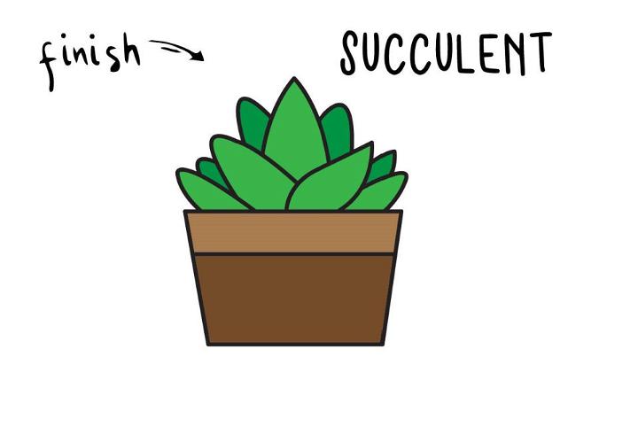 Succulent Plant Drawing Step by Step Guide