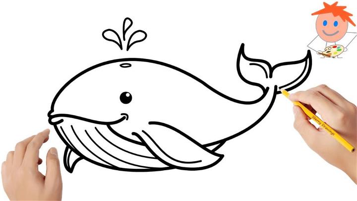 Whale Outline Drawing