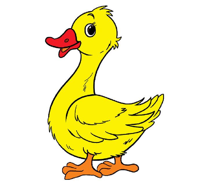 Wonderful Duck Drawing