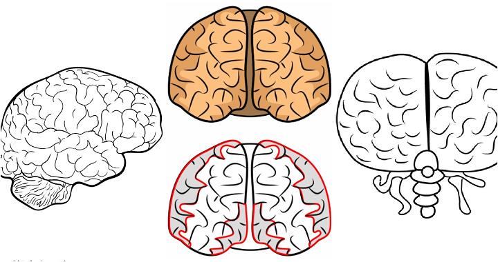 Human brain sketch style vector illustration Stock Vector | Adobe Stock