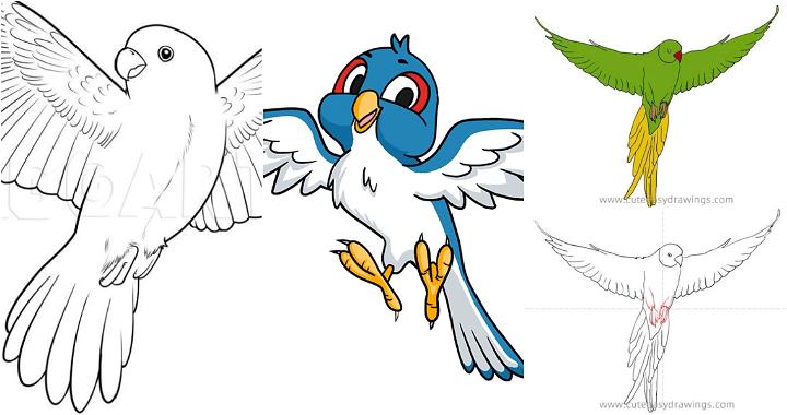 Bird Drawing (7 Different Ways!) - The Graphics Fairy