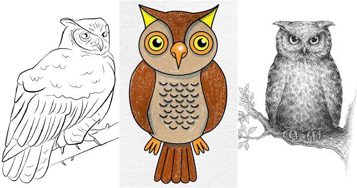 easy owl drawing ideas and tutorials